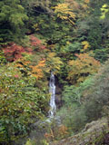 西沢渓谷 滝