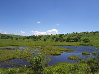 八島ヶ原湿原